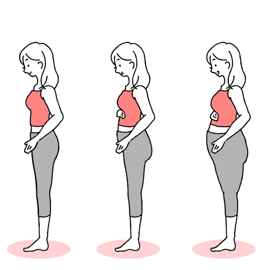 妊娠中の女性の重心バランスの変化、イラストイメージ