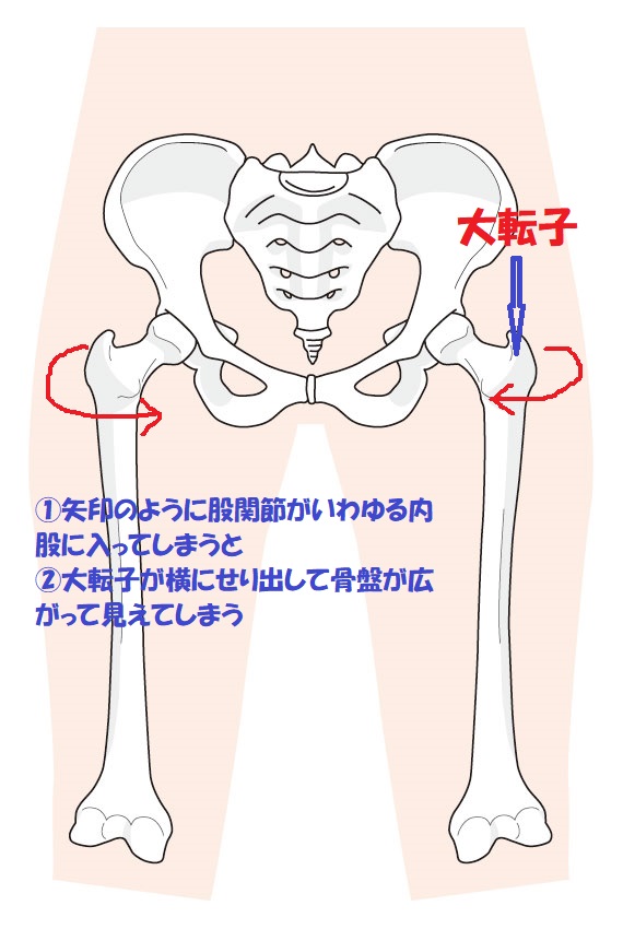股関節内旋イラストイメージ、骨盤が開くとは